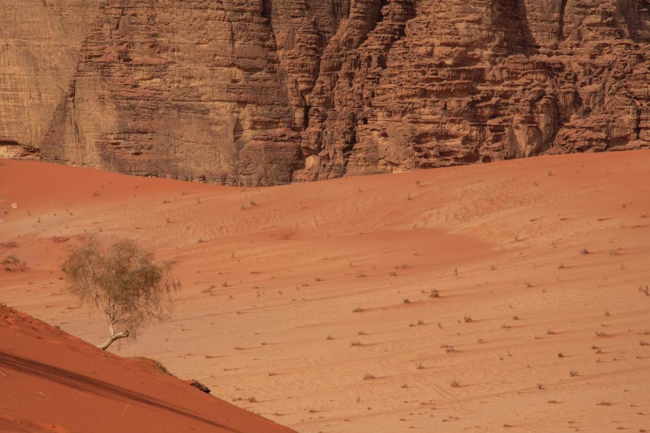 Wadi Rum Bright Moon Экстерьер фото