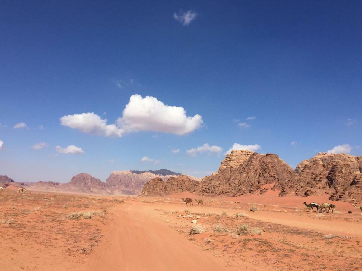 Wadi Rum Bright Moon Экстерьер фото
